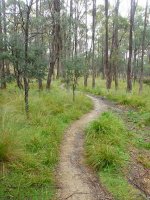 Trevallyn Nature Recreation Area